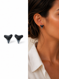 Bare & Unearthed | Natural Fossil Shark Tooth Earrings | Handmade Gift Jewelry