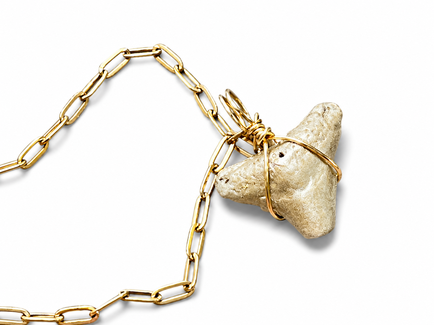 Fossil Shark Tooth Necklace | Gold Paperclip Chain | Handmade Gift Jewelry | 16 or 18 Inch