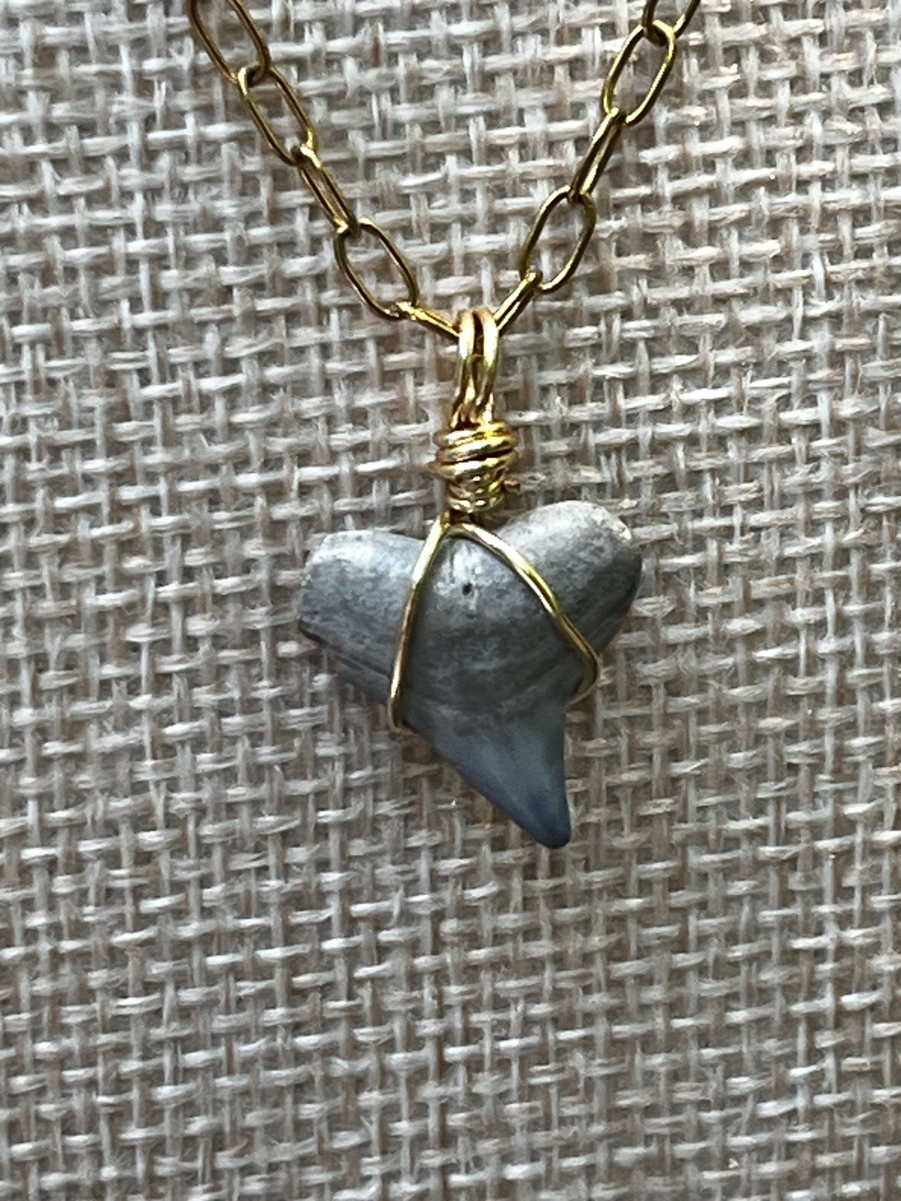 Something Blue | Fossil Shark Tooth Necklace | Handmade Gift Jewelry