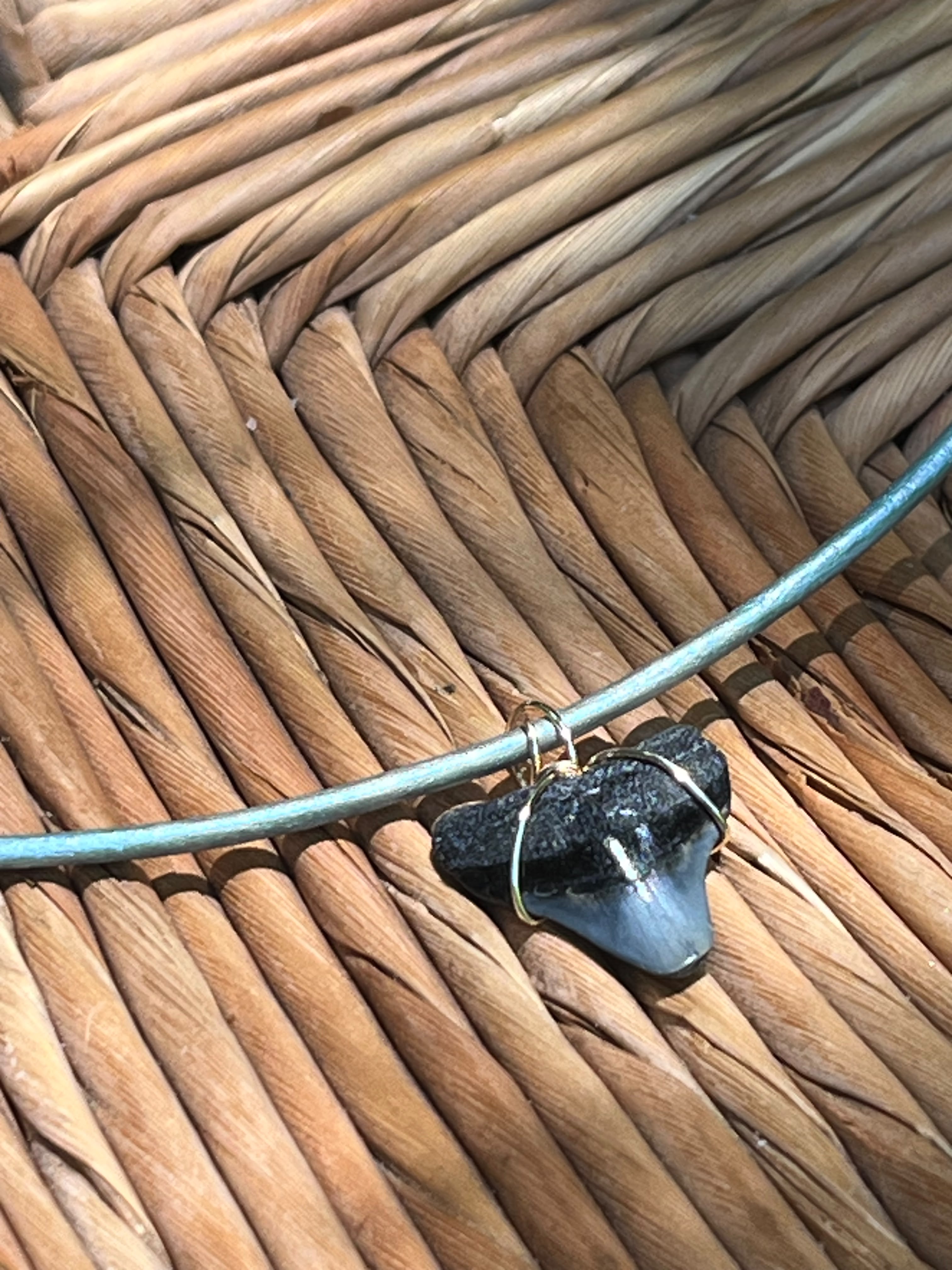 Fossil Shark Tooth Necklace on Turquoise Leather Cord | Chomp