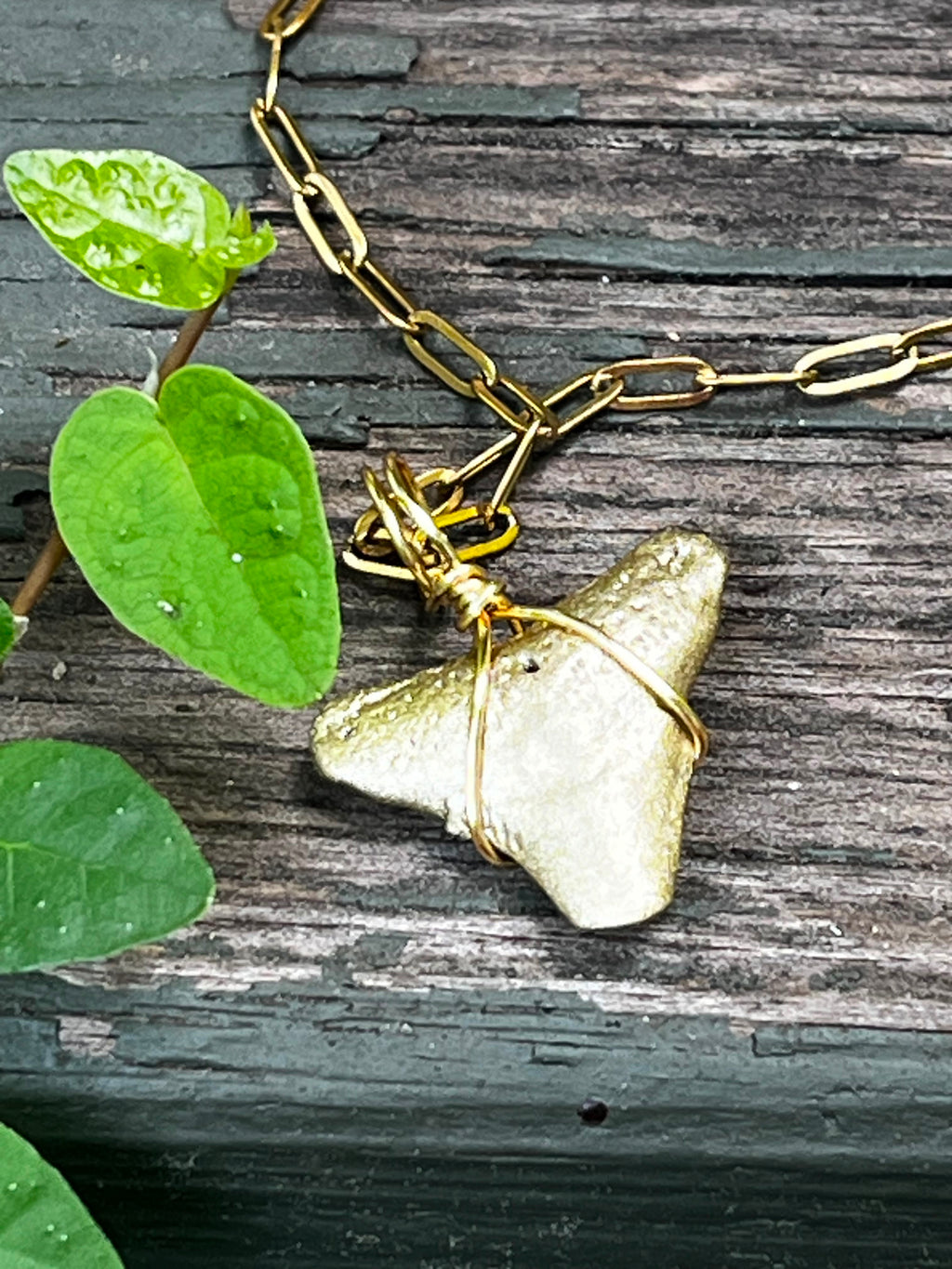 Fossil Shark Tooth Necklace | Gold Paperclip Chain | Handmade Gift Jewelry | 16 or 18 Inch