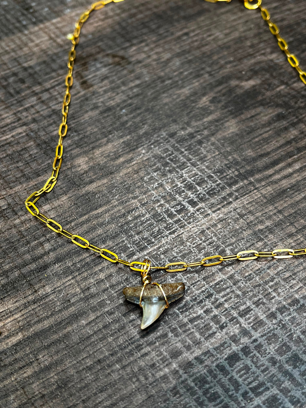 Fossil Shark Tooth Necklace | Gold Paperclip Chain | Handmade Gift Jewelry | 16 or 18 Inch