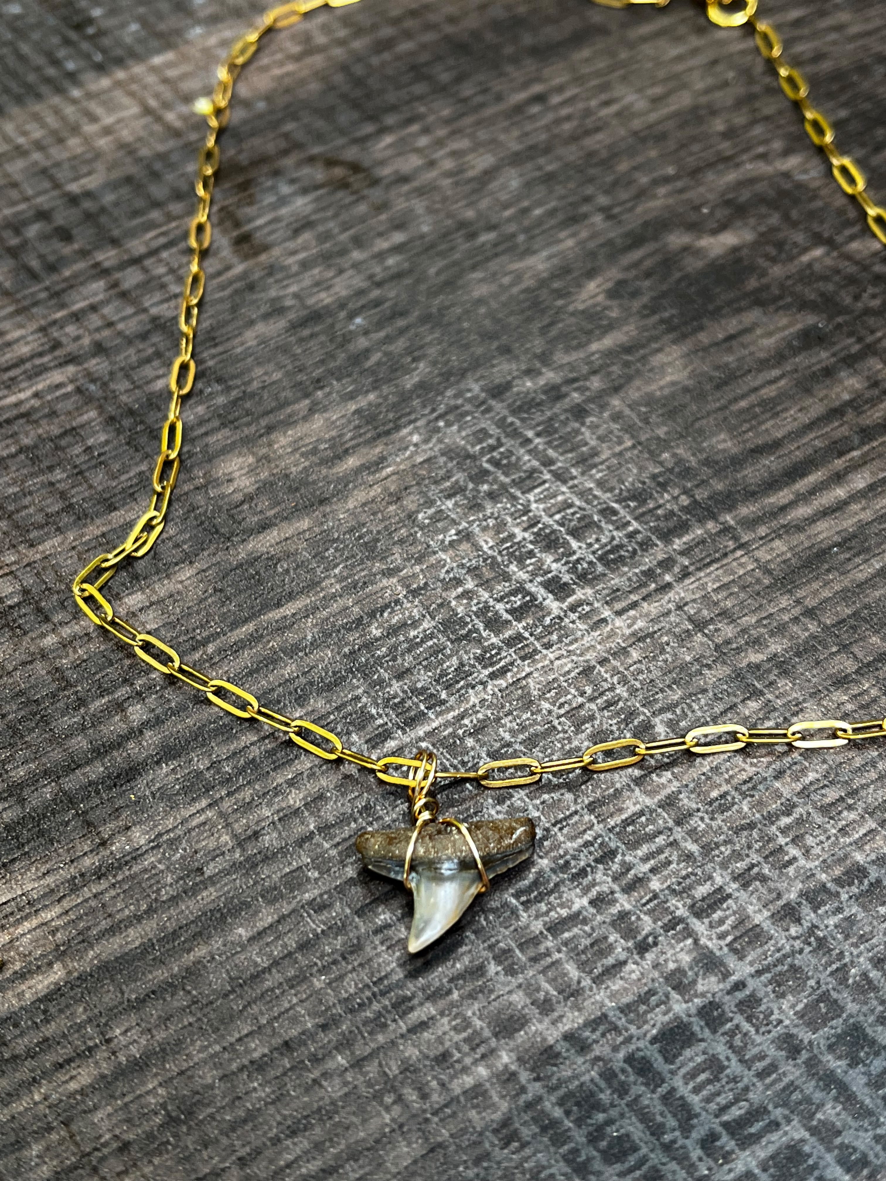 Fossil Shark Tooth Necklace | Gold Paperclip Chain | Handmade Gift Jewelry | 16 or 18 Inch