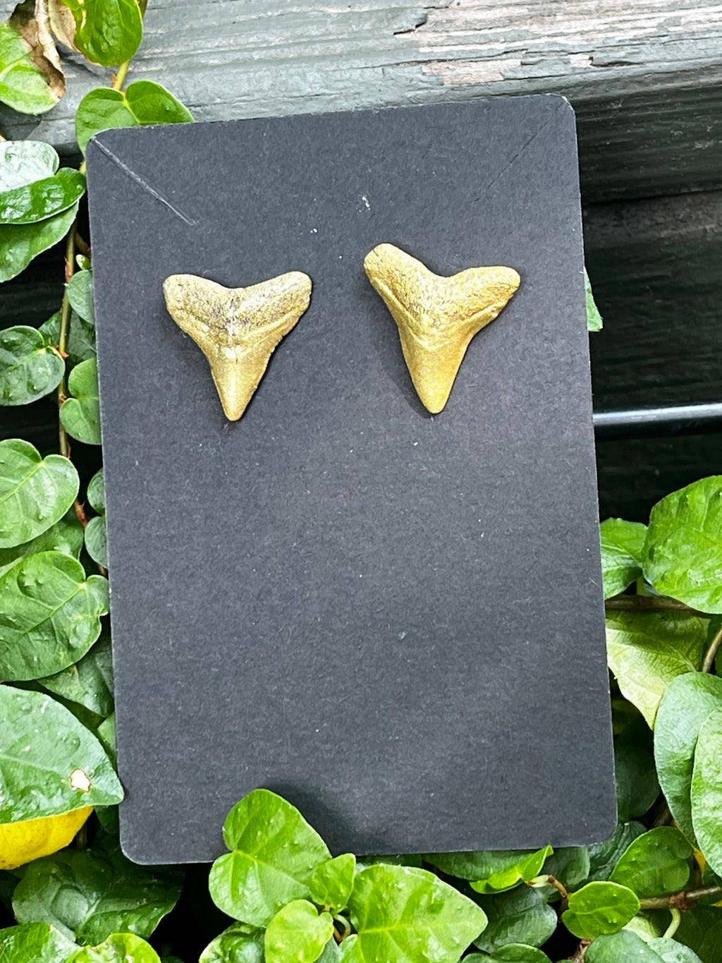 Gilded Pair | Gold Hand-Painted Fossil Shark Tooth Earrings | Handmade Gift
