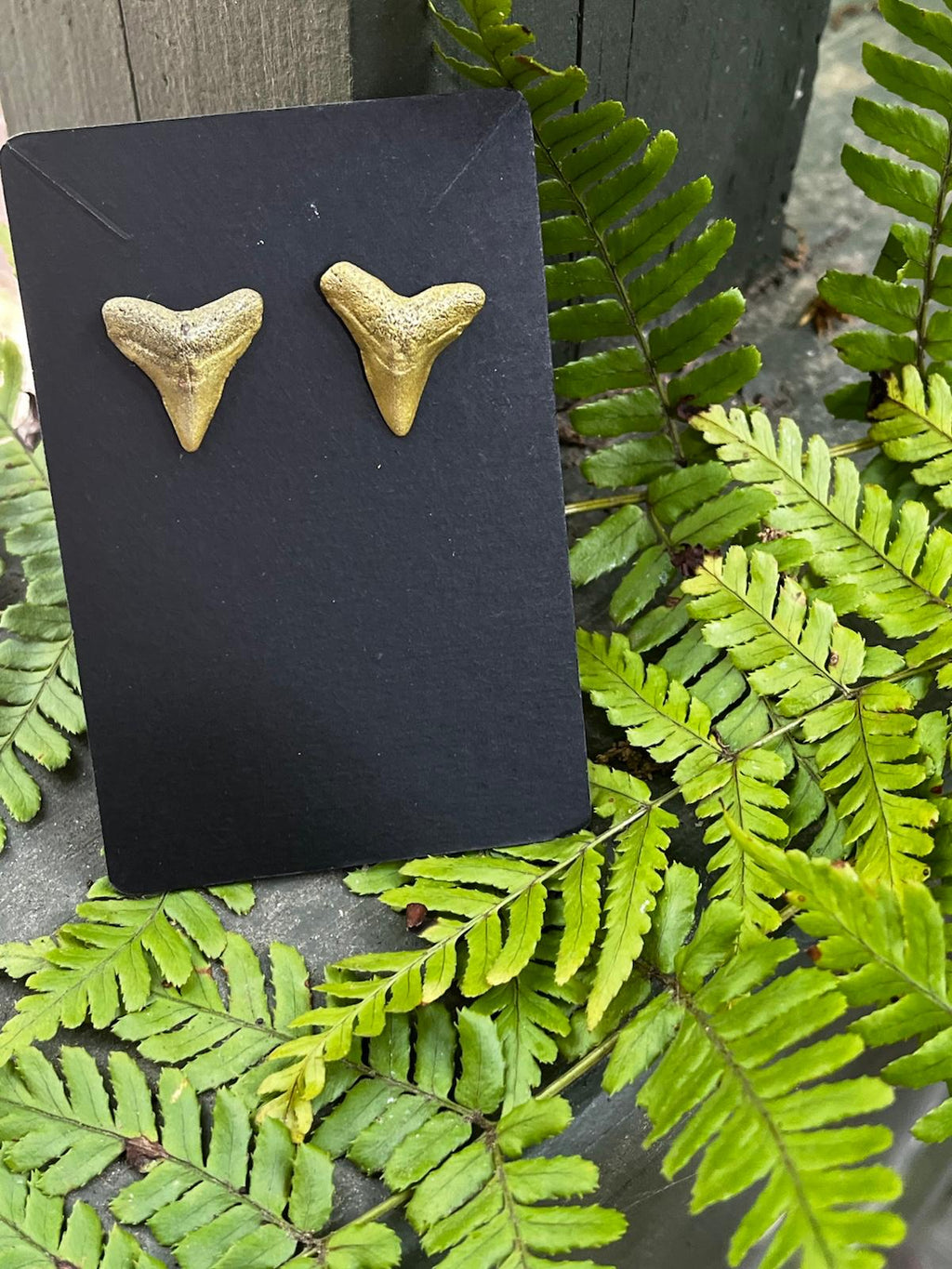 Gilded Pair | Gold Hand-Painted Fossil Shark Tooth Earrings | Handmade Gift