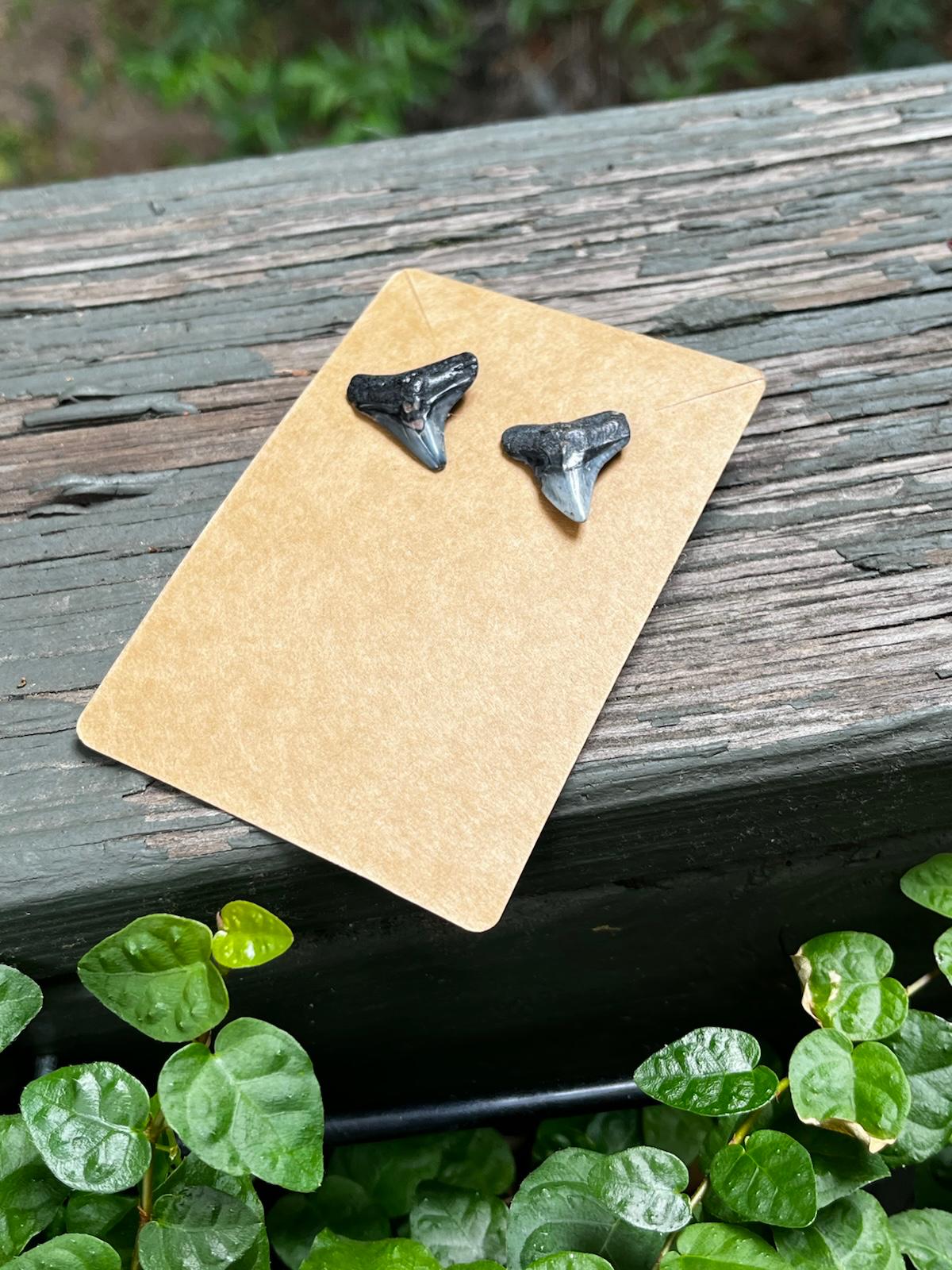 Bare & Unearthed | Natural Fossil Shark Tooth Earrings | Handmade Gift Jewelry