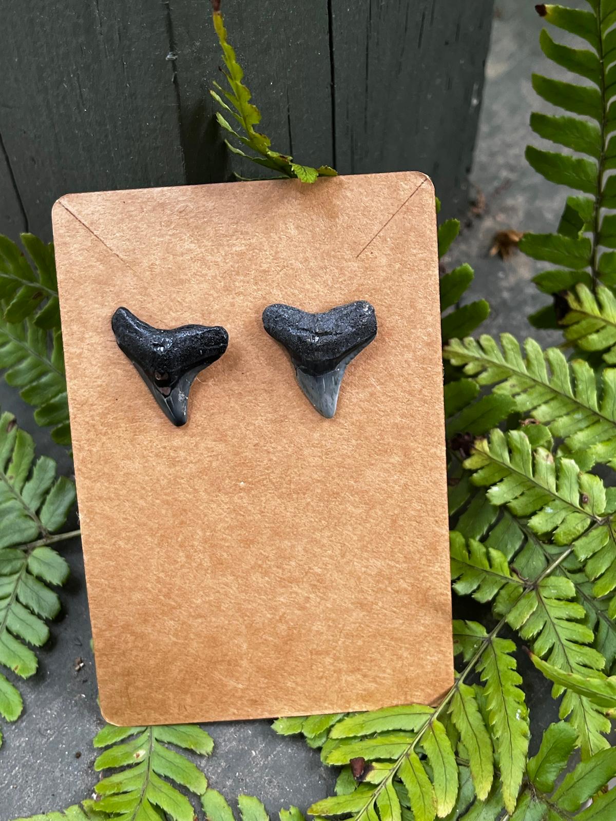 Bare & Unearthed | Natural Fossil Shark Tooth Earrings | Handmade Gift Jewelry