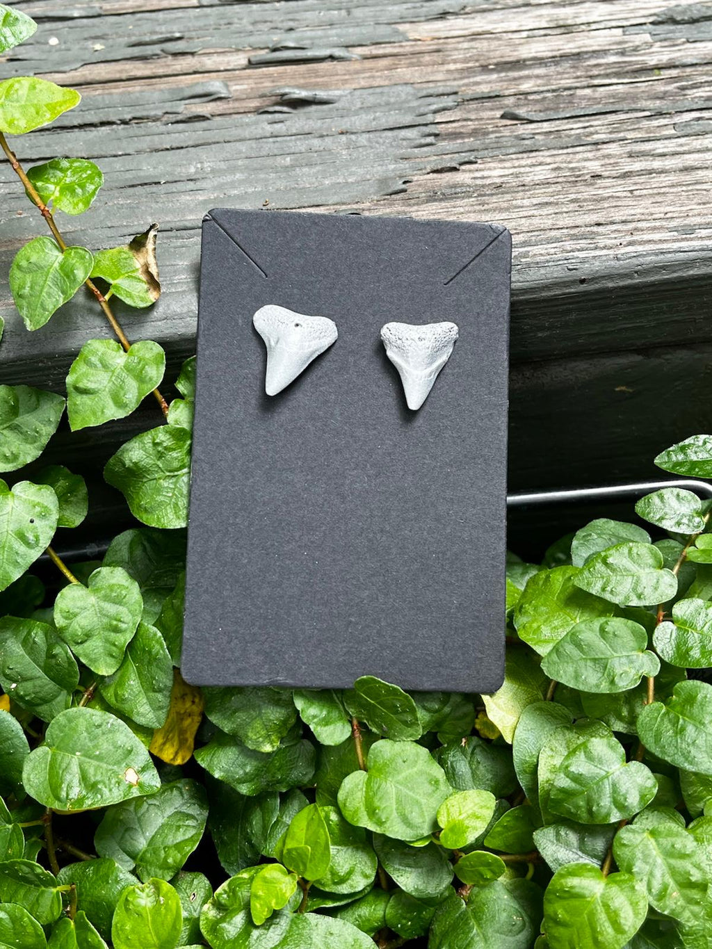 Silvered Pair | Silver Hand-Painted Fossil Shark Tooth Earrings | Handmade Gift