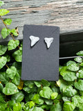 Silvered Pair | Silver Hand-Painted Fossil Shark Tooth Earrings | Handmade Gift