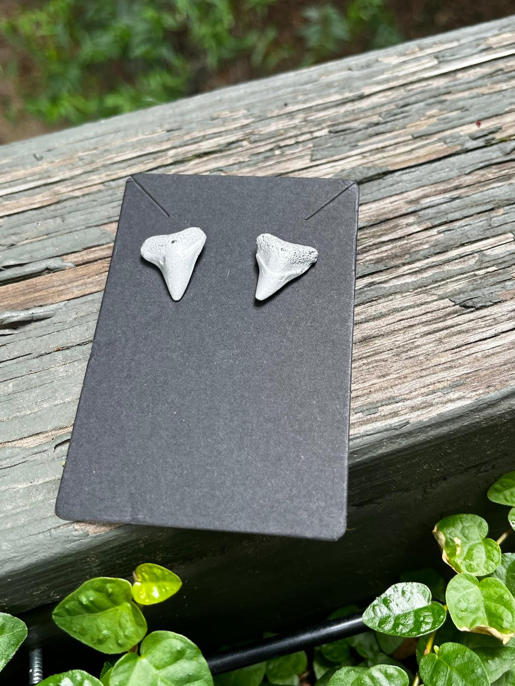 Silvered Pair | Silver Hand-Painted Fossil Shark Tooth Earrings | Handmade Gift
