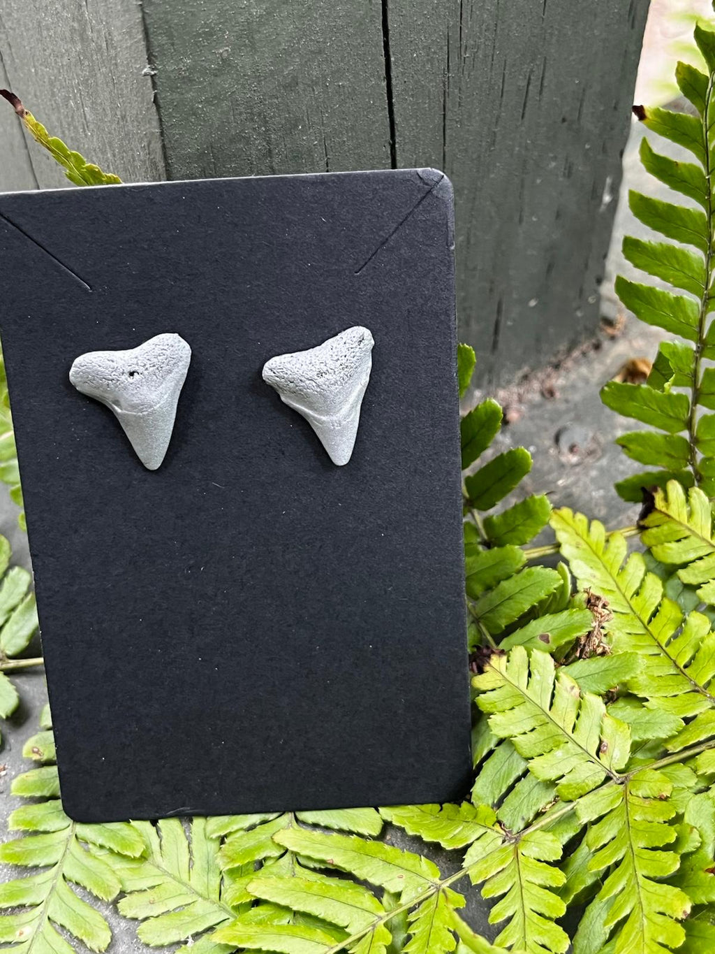 Silvered Pair | Silver Hand-Painted Fossil Shark Tooth Earrings | Handmade Gift