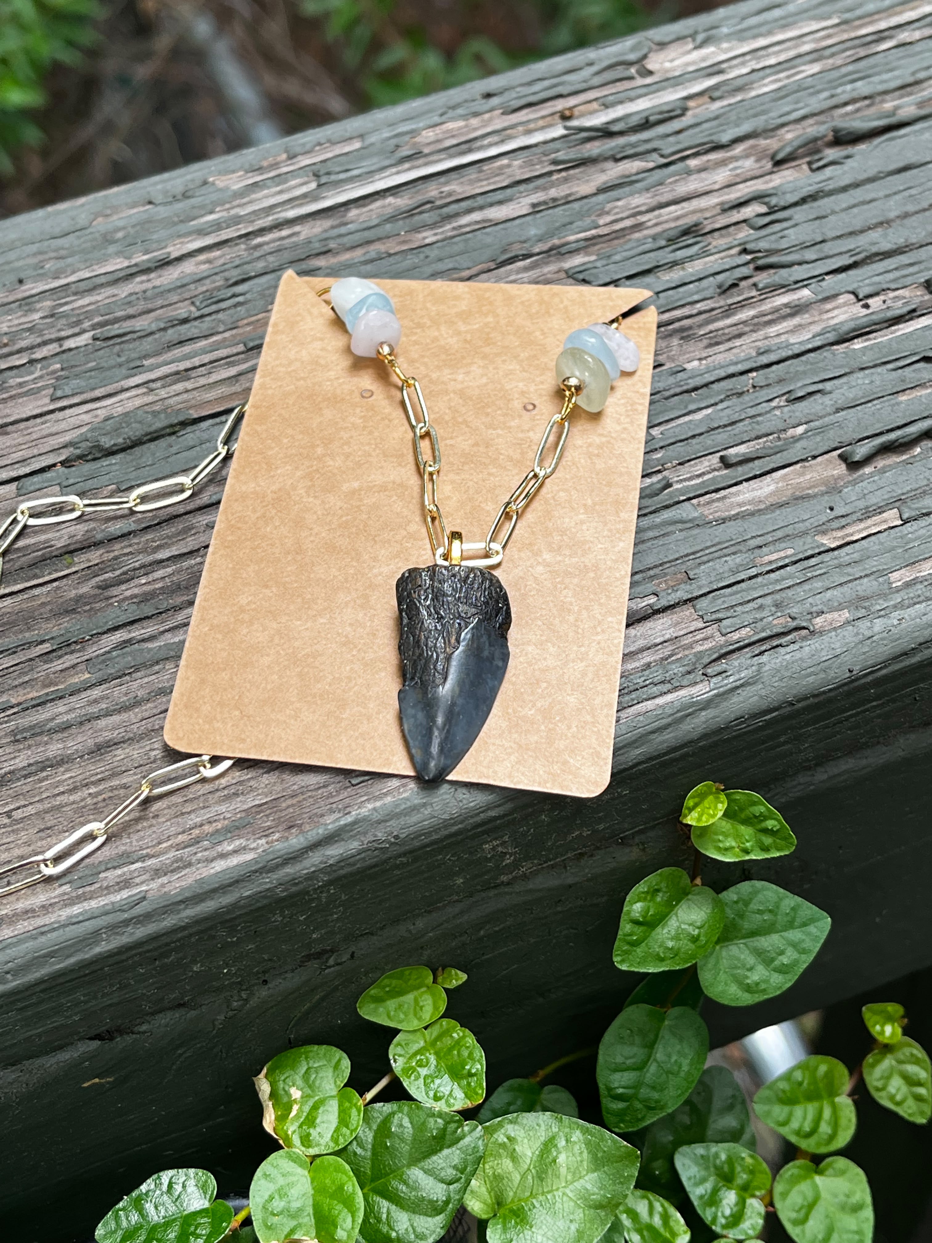 Beautifully Broken | Rare Fossil Hastalis Shark Tooth & Morganite Statement Necklace | One of a Kind Gift