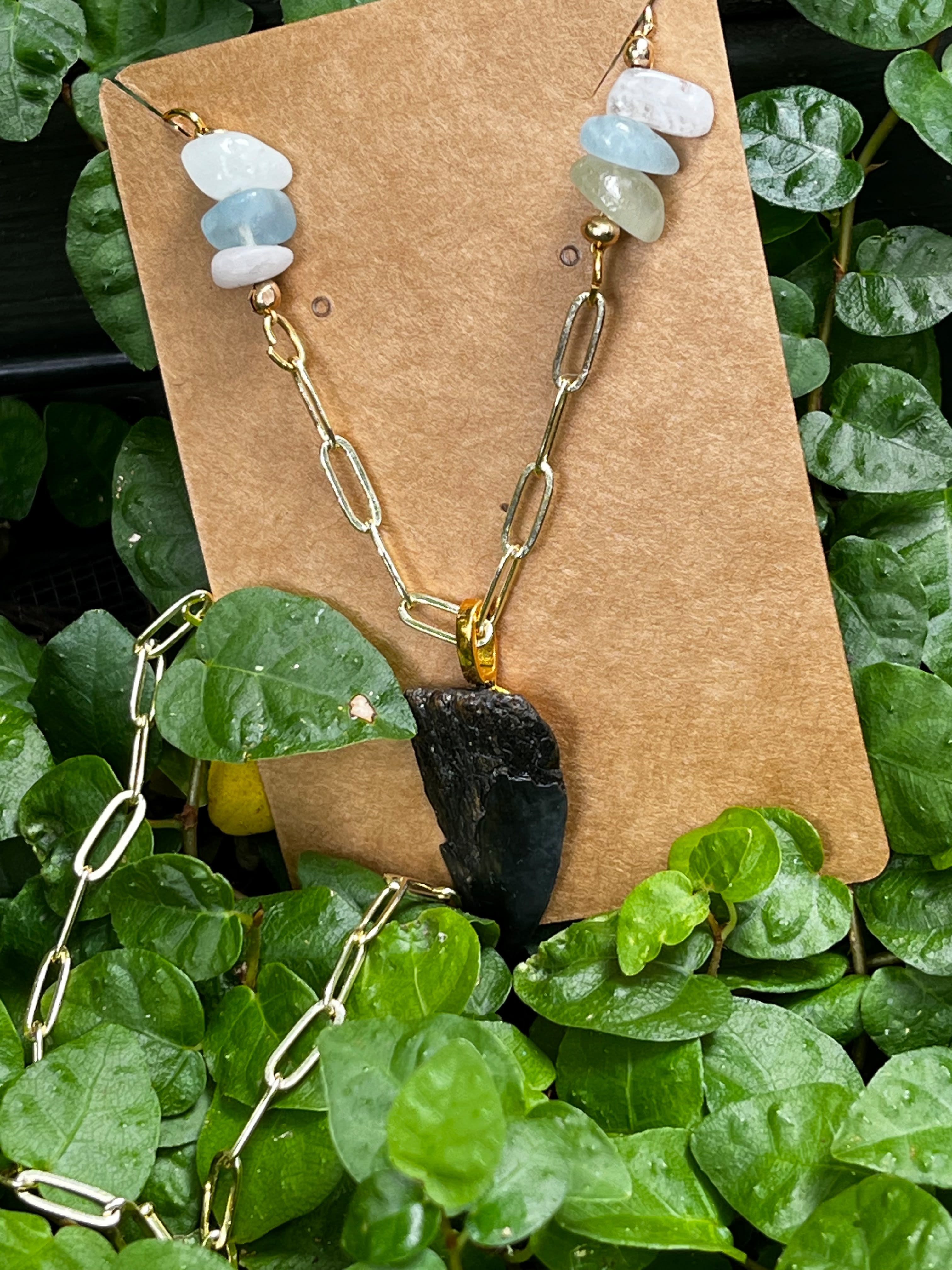 Beautifully Broken | Rare Fossil Hastalis Shark Tooth & Morganite Statement Necklace | One of a Kind Gift
