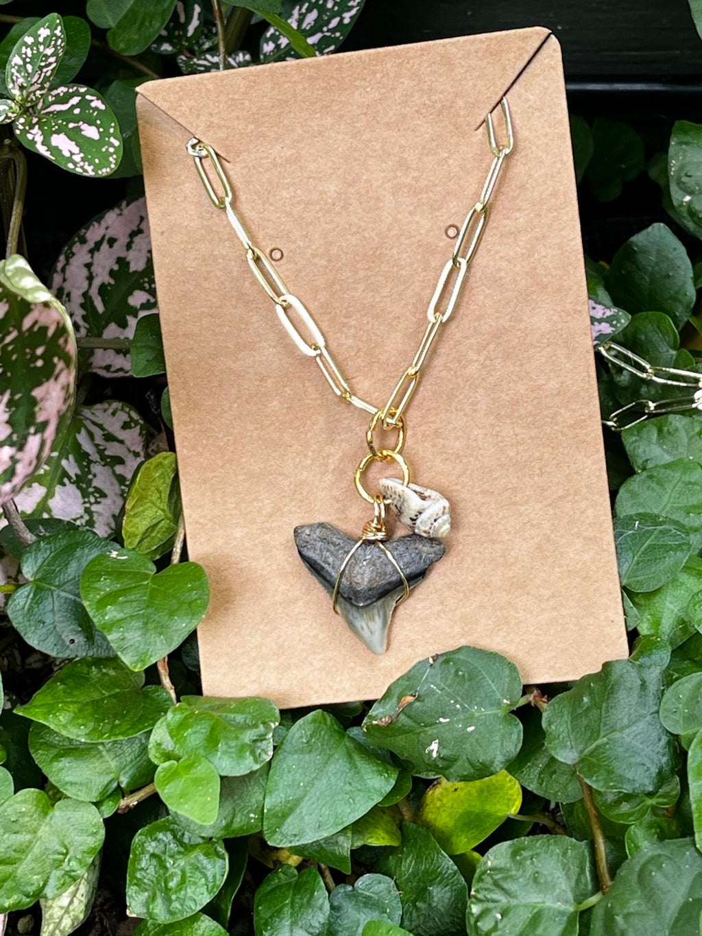 Shell & Stone | Natural Fossil Shark Tooth & Seashell Necklace | Handmade Gift Jewelry