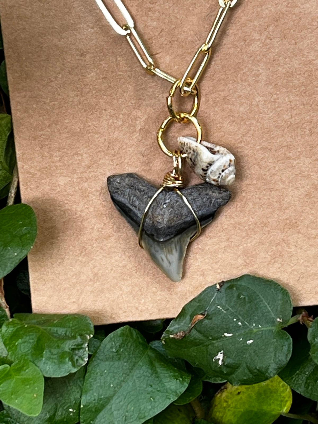 Shell & Stone | Natural Fossil Shark Tooth & Seashell Necklace | Handmade Gift Jewelry