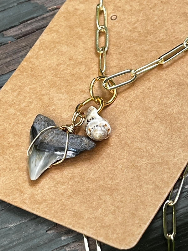 Shell & Stone | Natural Fossil Shark Tooth & Seashell Necklace | Handmade Gift Jewelry