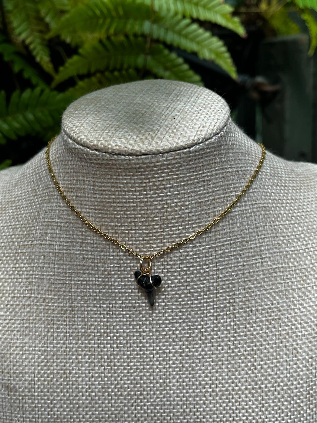 Her First Fossil | Personalized Fossil Shark Tooth Necklace with Initial Disc | Handmade Gift