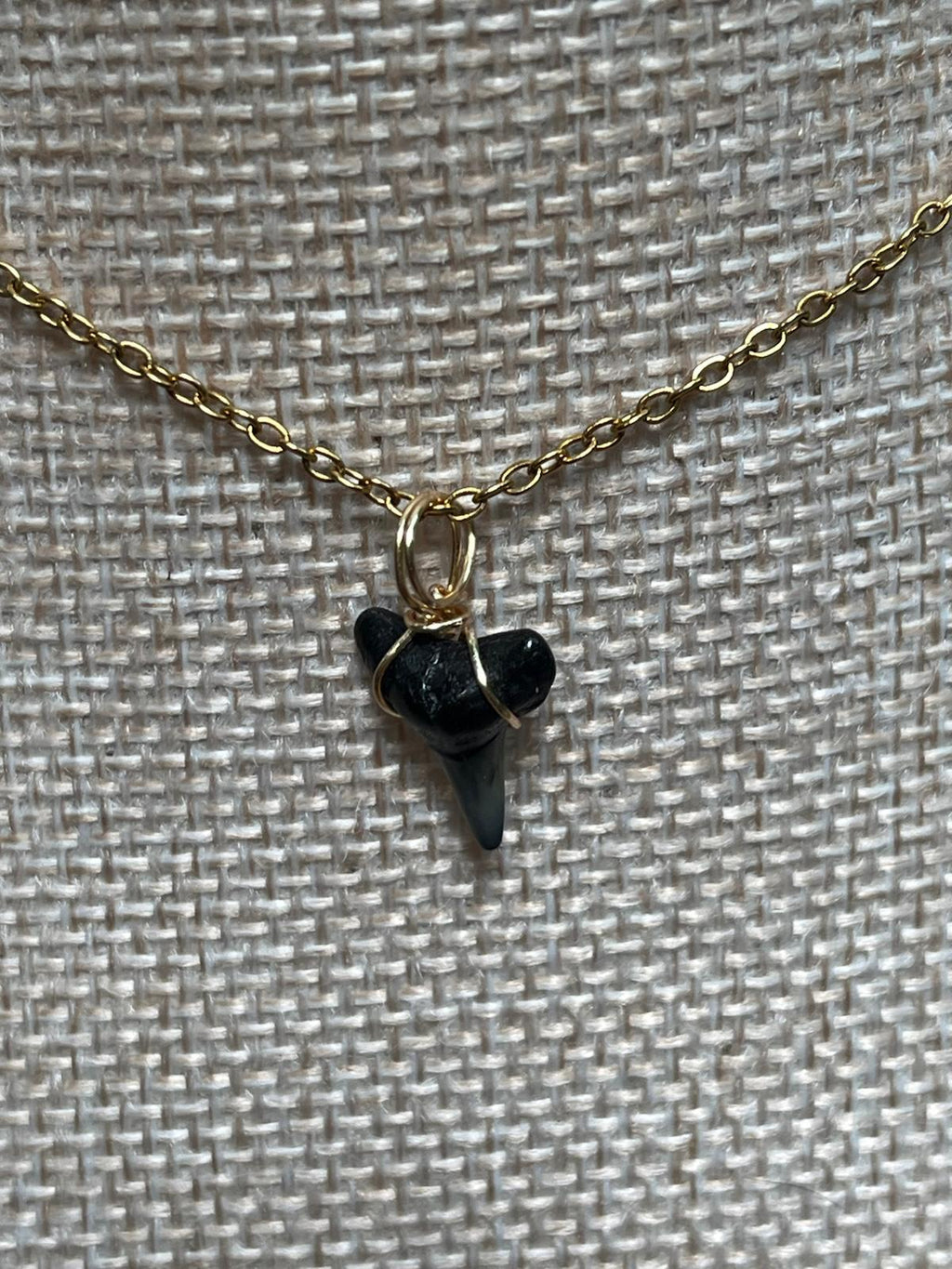 Her First Fossil | Personalized Fossil Shark Tooth Necklace with Initial Disc | Handmade Gift