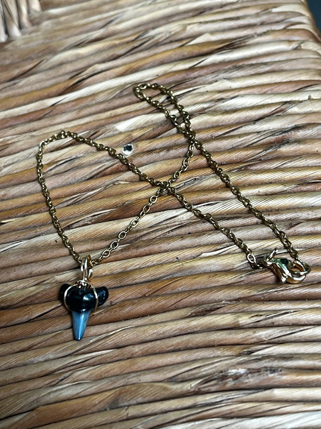 Her First Fossil | Personalized Fossil Shark Tooth Necklace with Initial Disc | Handmade Gift
