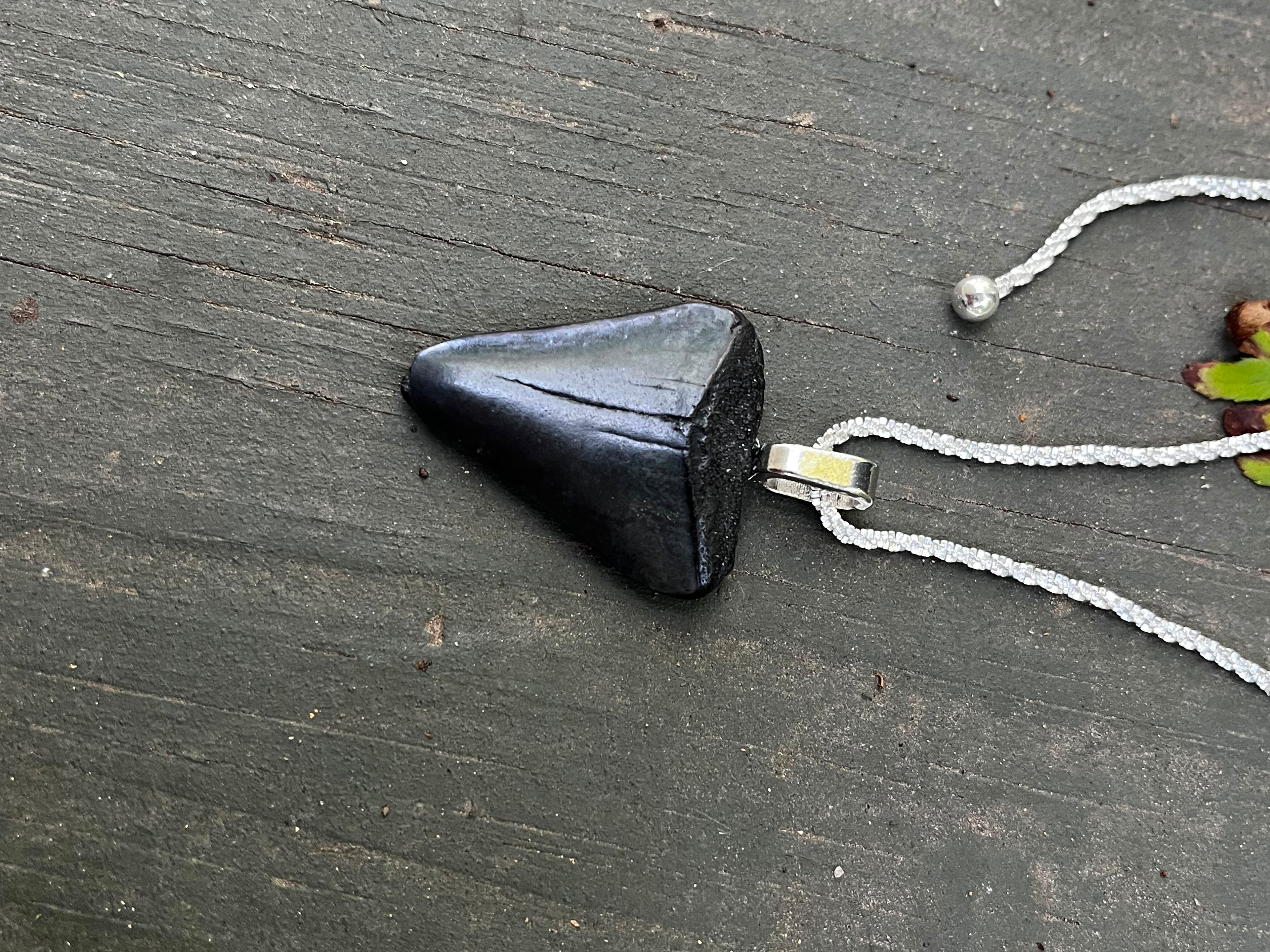 Tempered | Rare Fossil Hastalis Shark Tooth Necklace on Sterling Silver | One of a Kind Gift