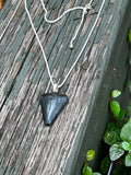 Tempered | Rare Fossil Hastalis Shark Tooth Necklace on Sterling Silver | One of a Kind Gift