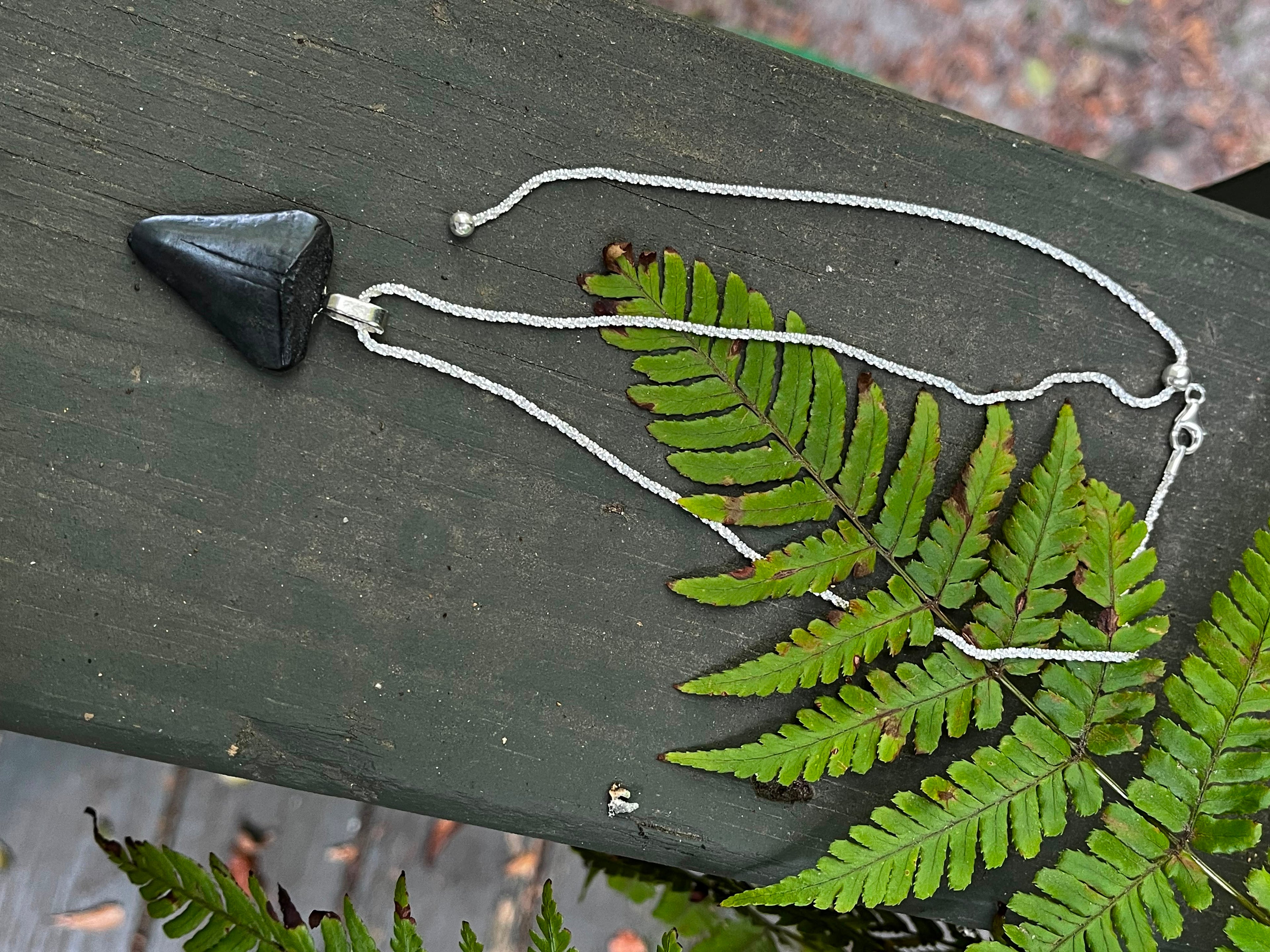 Tempered | Rare Fossil Hastalis Shark Tooth Necklace on Sterling Silver | One of a Kind Gift