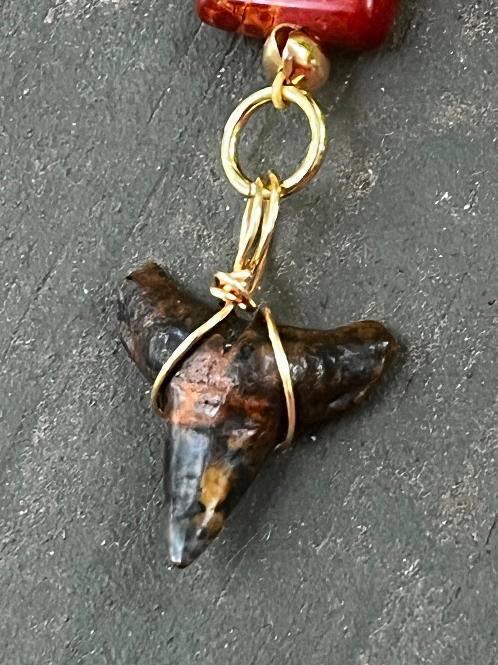 Rare Earth | Fossil Shark Tooth & Picasso Jasper Necklace | One of a Kind Gift Jewelry