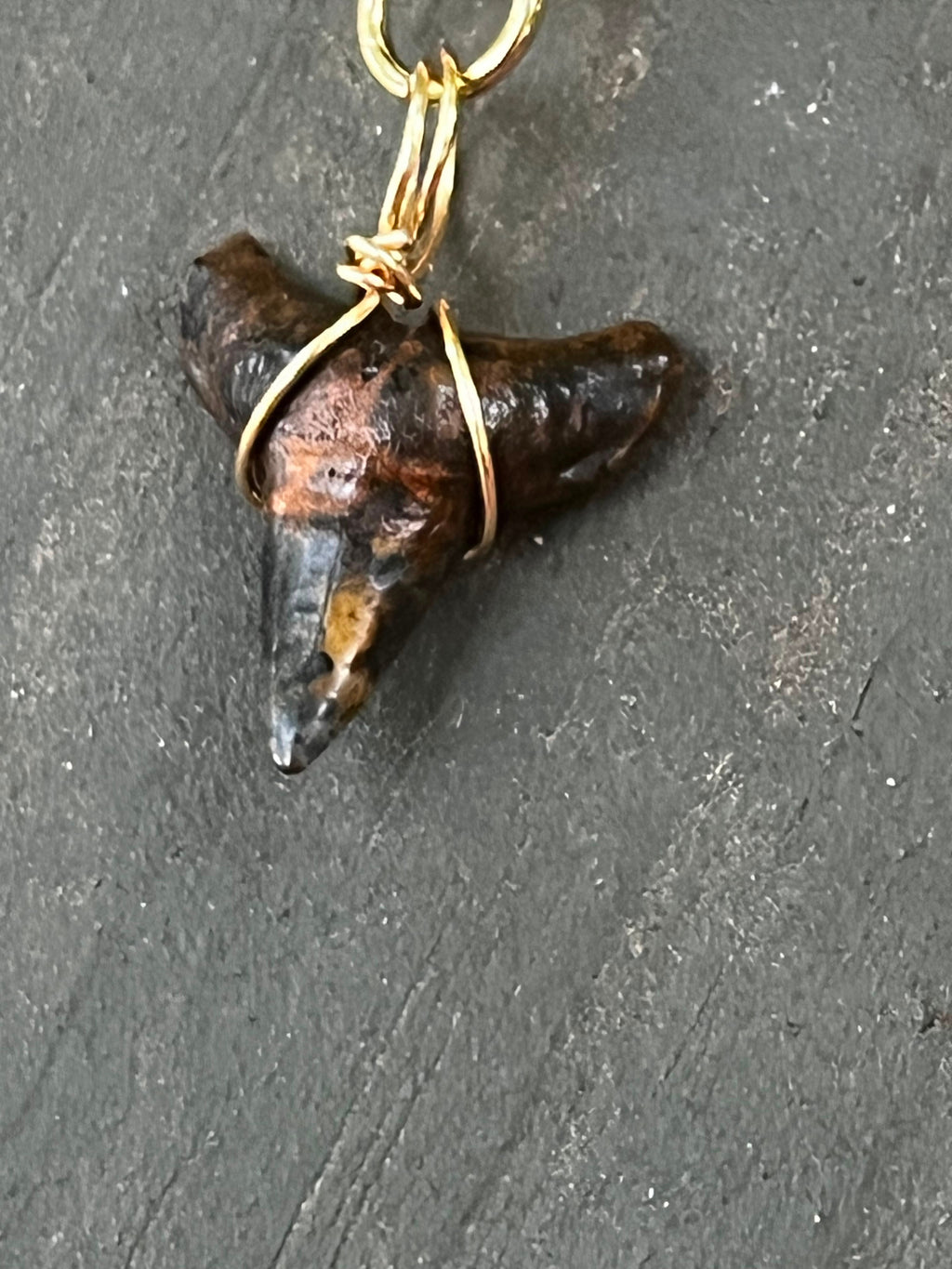 Rare Earth | Fossil Shark Tooth & Picasso Jasper Necklace | One of a Kind Gift Jewelry