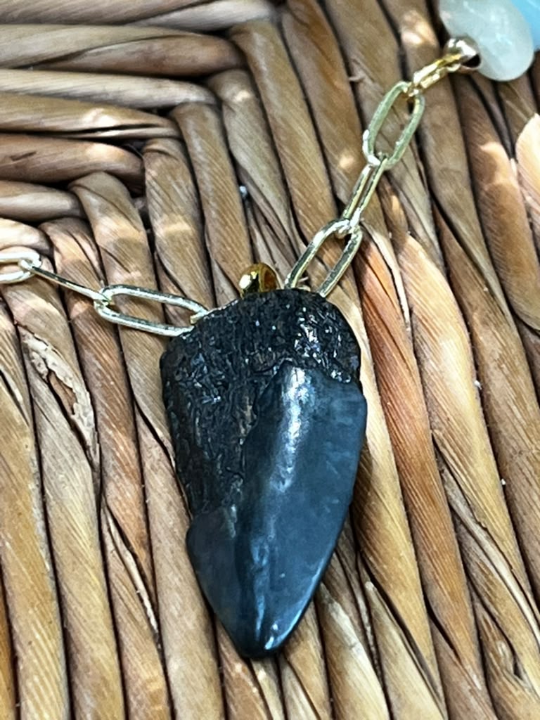 Beautifully Broken | Fossil Hastalis Shark Tooth & Morganite Necklace | Handmade Gift Jewelry