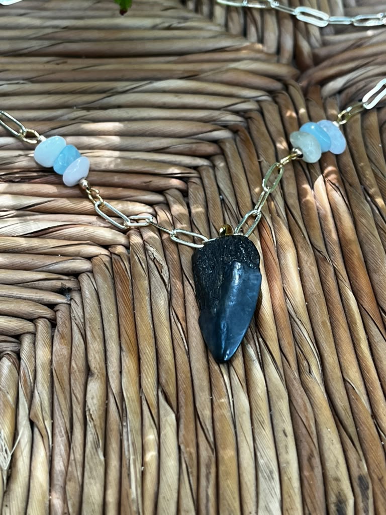 Beautifully Broken | Fossil Hastalis Shark Tooth & Morganite Necklace | Handmade Gift Jewelry