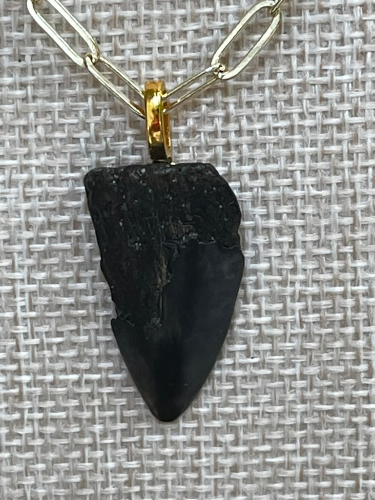 Beautifully Broken | Fossil Hastalis Shark Tooth & Morganite Necklace | Handmade Gift Jewelry
