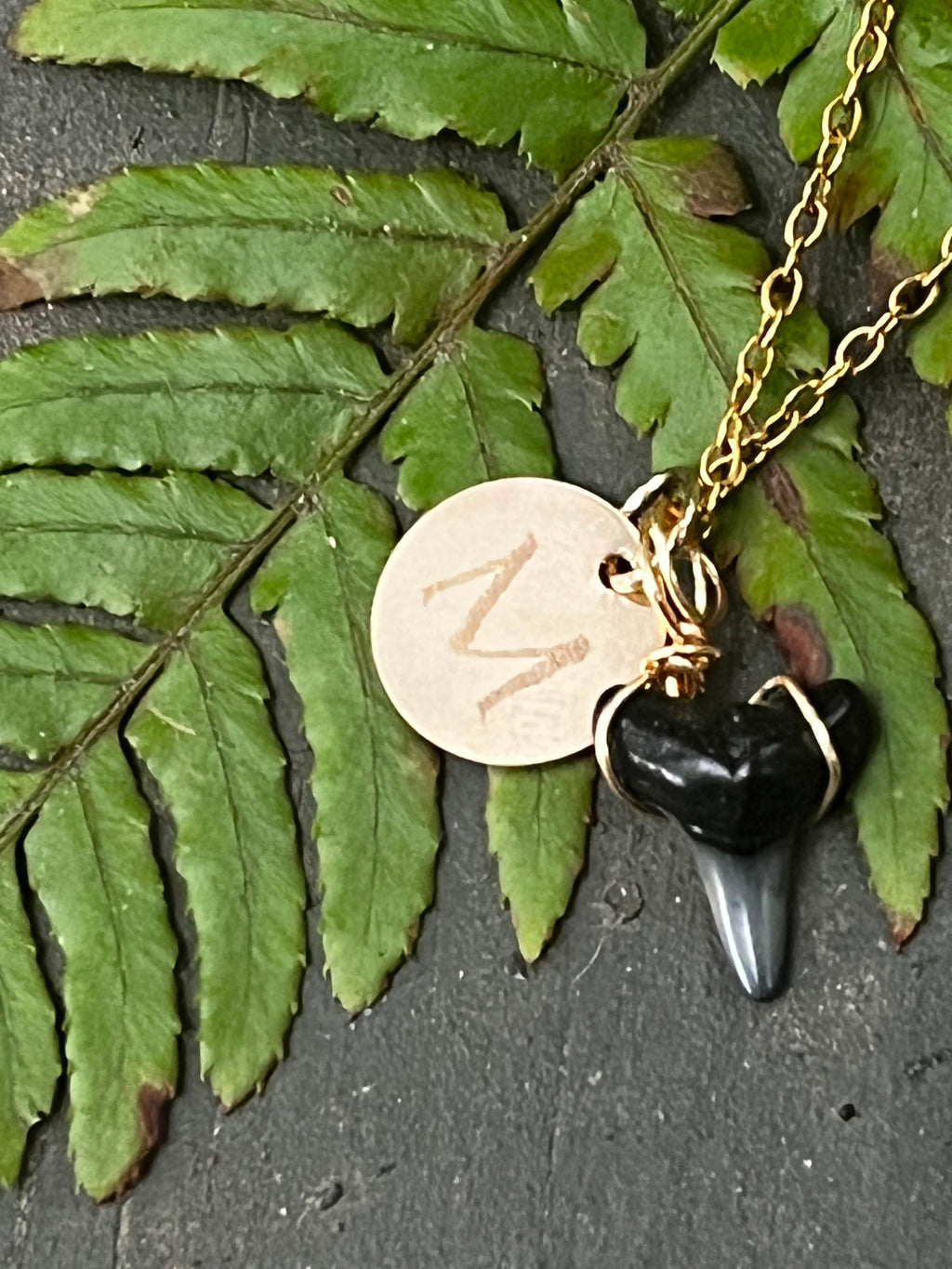 Her First Fossil | Personalized Fossil Shark Tooth Necklace with Initial Disc | Handmade Gift